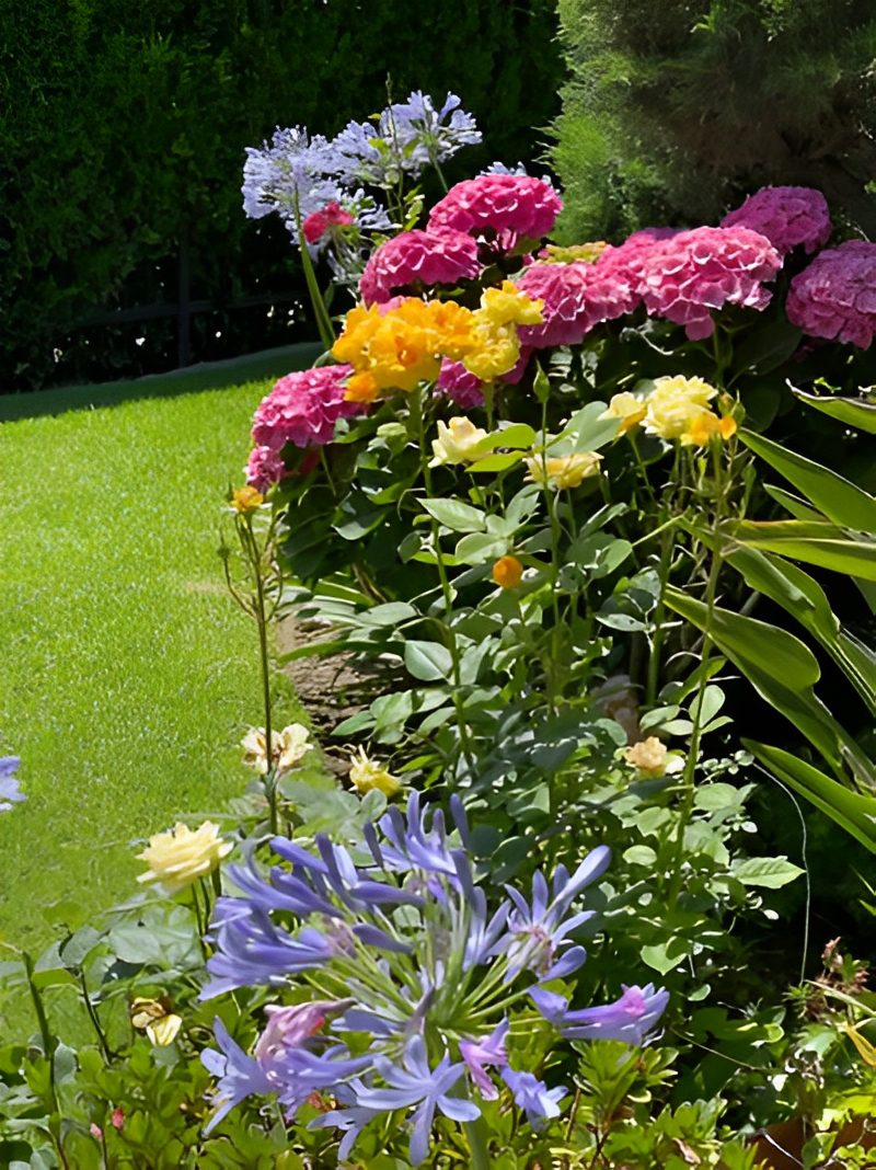 2e947b20-3add-4d2a-a7c4-b04846a8d4fe A garden with flowers and grass in the foreground.