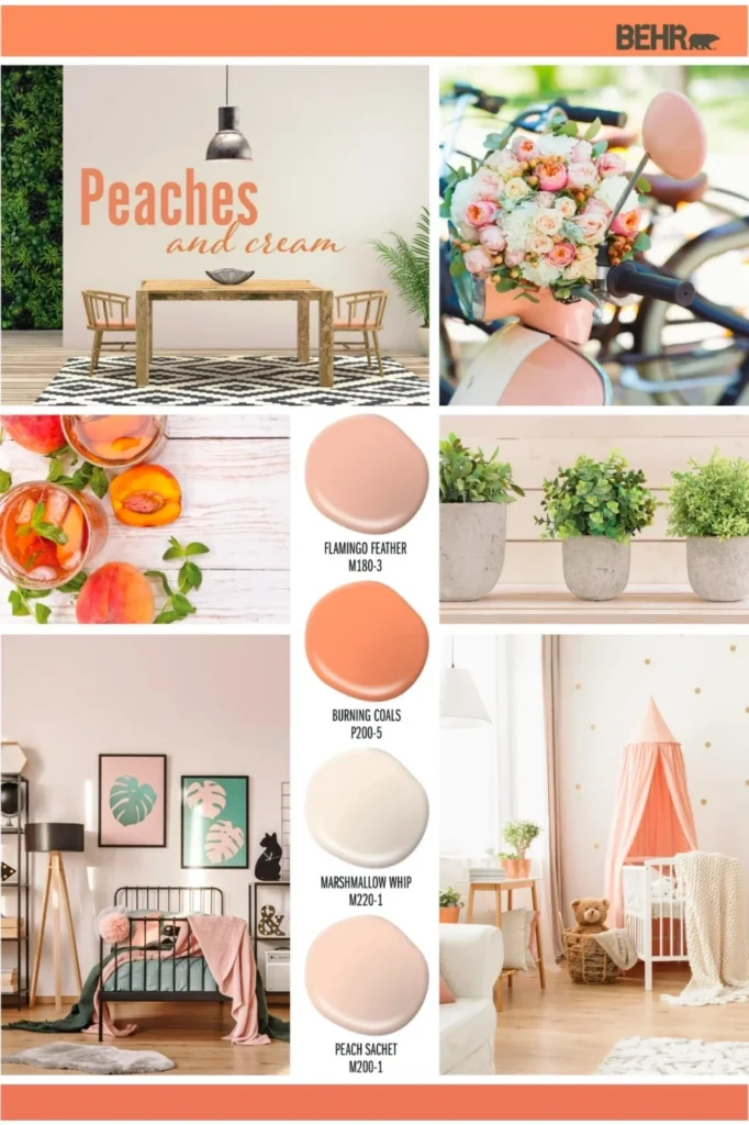 Popular Behr Peach Paint Colors.