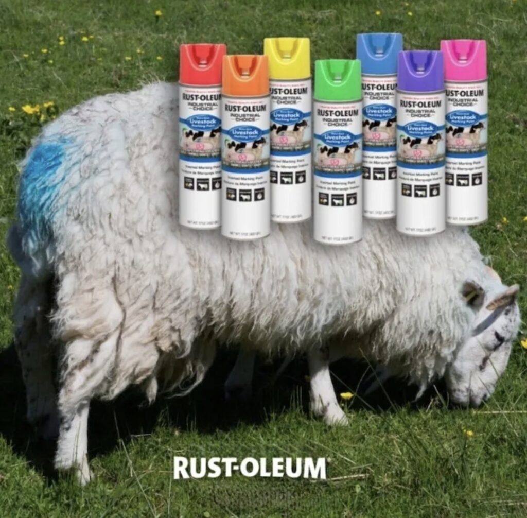 Rust-Oleum Pet and Lawn Home Paint Colors.