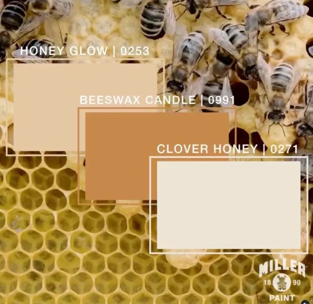 Honey Inspired Paint Colors.