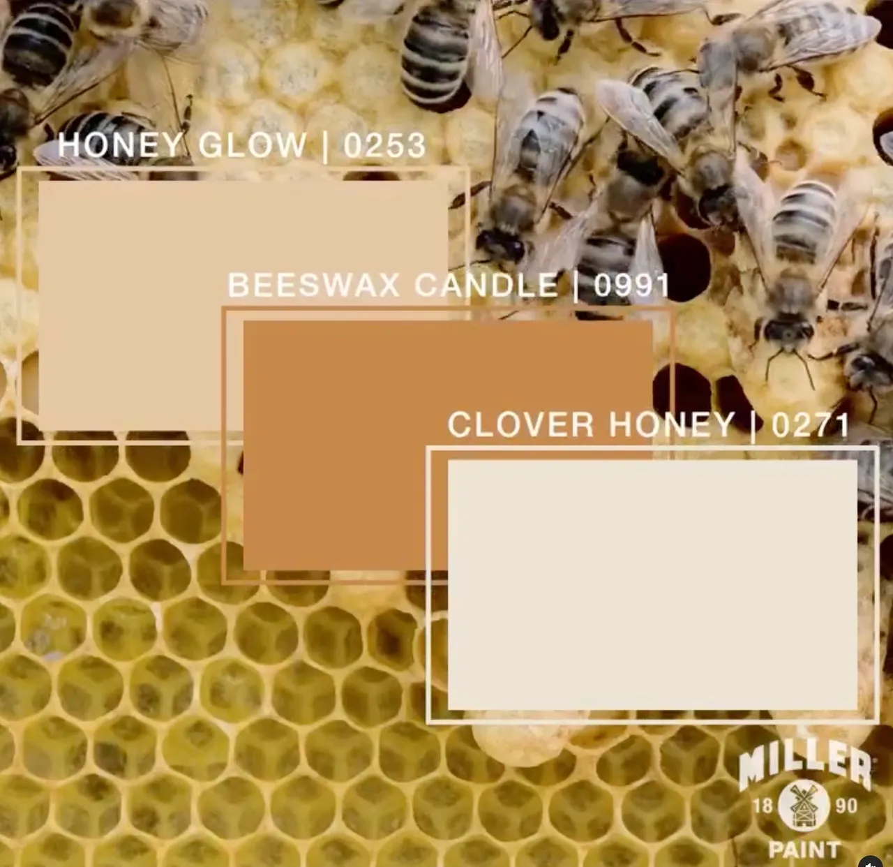 Honey Inspired Paint Colors.