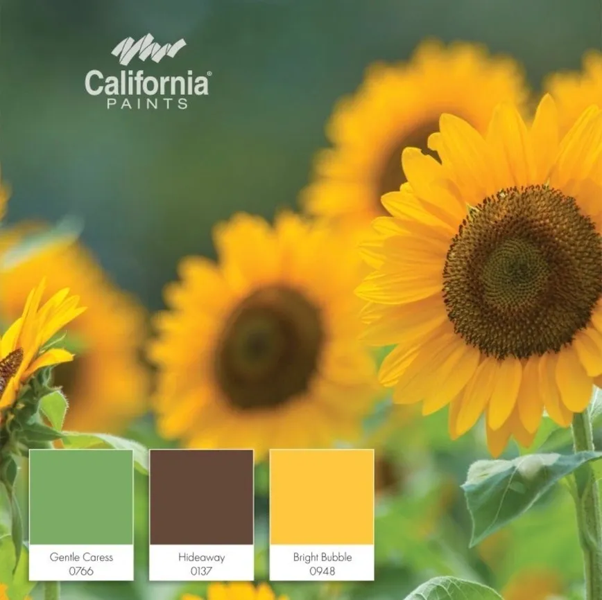 Sunflower Inspired Paint Colors.