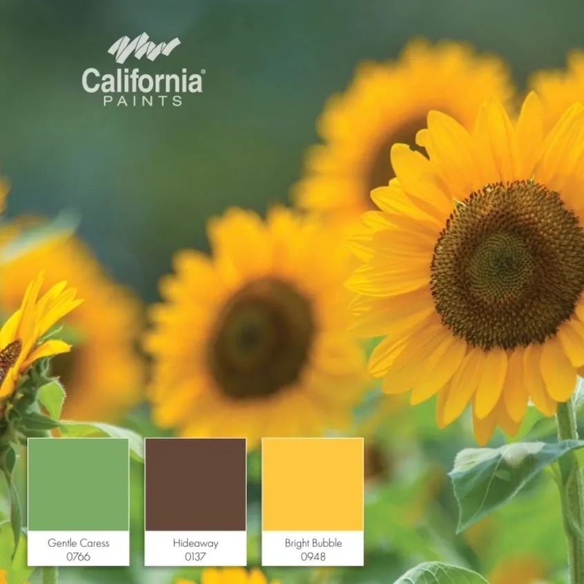 Sunflower Inspired Colors.