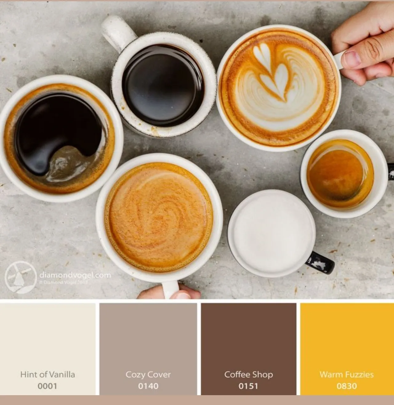 Coffee Inspired Hues.
